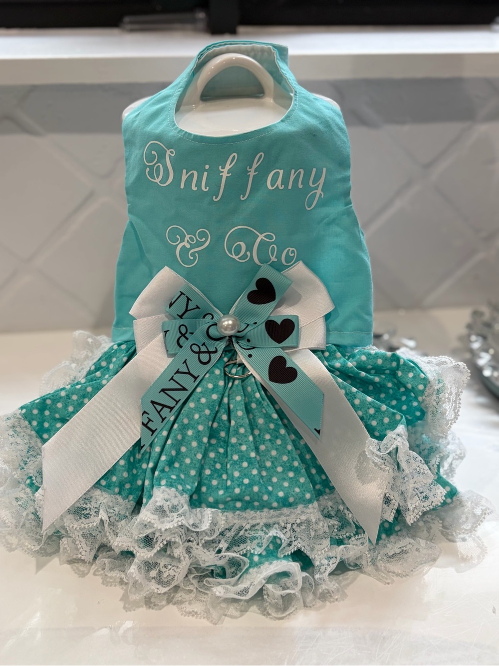 Teal Polka Dot Lace Pet Costume Dress